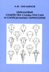 Цикадовые семейства Cixiidae России и сопределительных территорий