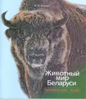 Животный мир Беларуси: Беловежская пуща