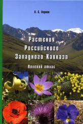 Растения Российского Западного Кавказа. Полевой атлас