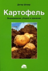 Картофель: Выращивание, уборка и хранение