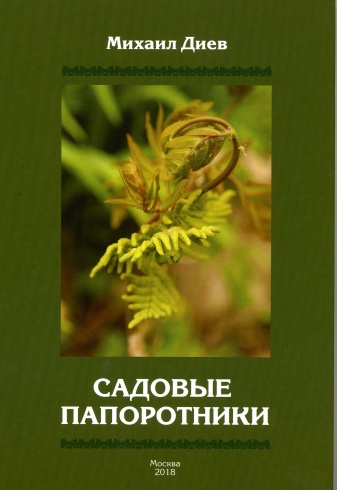 Садовые папоротники