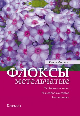 Флоксы метельчатые. Особенности ухода, разнообразие сортов, размножение