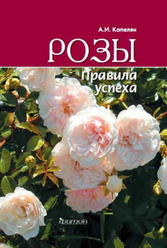 Розы. Правила успеха