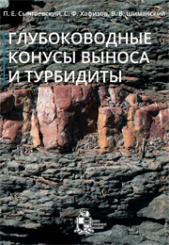 Глубоководные конусы выноса и турбидиты. Модели, циклостратиграфия и применение расширенного комплекса ГИС