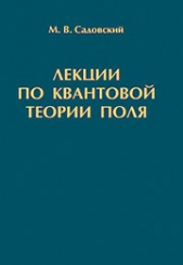 Лекции по квантовой теории поля