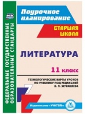 Литература 11 класс: технологические карты уроков по учебнику