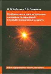 Возбуждение и распространение взрывных превращений в зарядах взрывчатых веществ