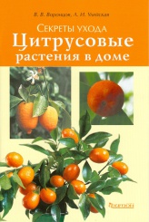 Цитрусовые растения в доме. Секреты ухода