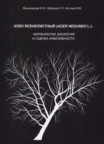 Клен ясенелистный (Acer negundo L.): морфология, биология и оценка инвазивности