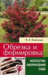 Обрезка и формировка кустарников. Искусство оформления сада