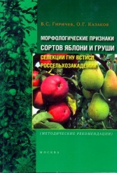 Морфологические признаки сортов яблони и груши селекции ГНУ ВСТИСП Росселселсельхозакадемии (методические рекомендации)