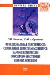 Функциональная пластичность спинальных двигат..Монография