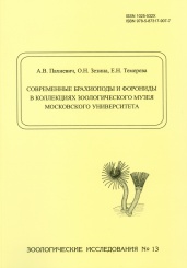 Современные брахиоподы и форониды в коллекциях зоологического музея московского университета. Зоологические исследования № 13