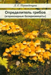 Определитель грибов (агарикодные базидиомицеты)