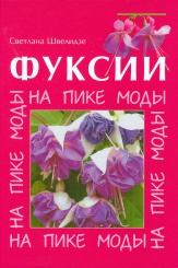 Фуксии. На пике моды