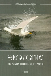 Экология морских птиц Белого моря