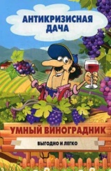 Антикризисная дача. Умный виноградник. Выгодно и легко!
