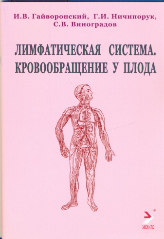 Лимфатическая система. Кровообращение у плода. Учебное пособие