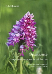 Орхидные северо-запада Европейской России (Ленинградская, Псковская, Новгородская области)