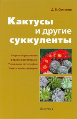 Кактусы и другие суккуленты