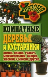 Комнатные деревья и кустарники: лимон, вишня, гранат, можжевельник, акация, жасмин и многие другие