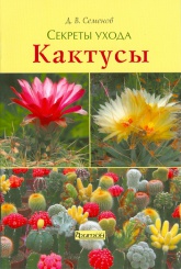 Кактусы. Секреты ухода