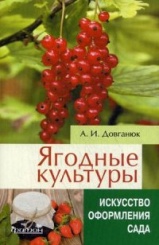 Ягодные культуры. Искусство оформления сада