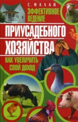 Эффективное ведение приусадебного хозяйства. Как увеличить свой доход