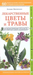 Лекарственные цветы и травы. Наглядный карманный определитель