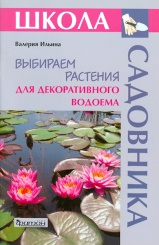 Выбираем растения для декоративного водоема