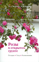 Розы в открытом грунте