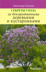 Секреты ухода за декоративными деревьями и кустарниками