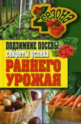 Подзимние посевы: секреты успеха раннего урожая