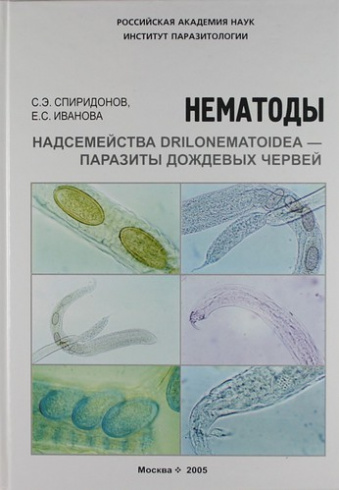 Нематоды надсемейства Drilonematoidea – паразиты дождевых червей